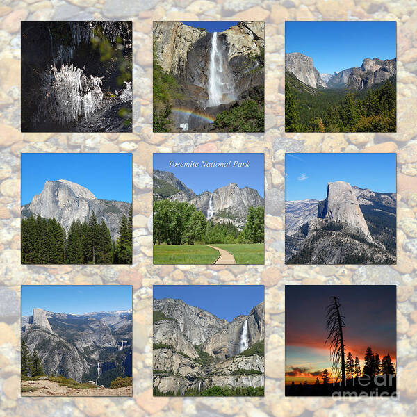 Yosemite National Park Poster featuring the photograph Yosemite 3x3 Collage by Debra Thompson