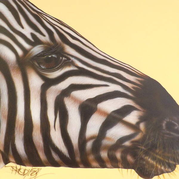 Zebra Poster featuring the painting Zebra by Darren Robinson
