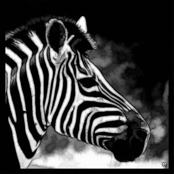 Animal Poster featuring the digital art Zebra by Gun Legler