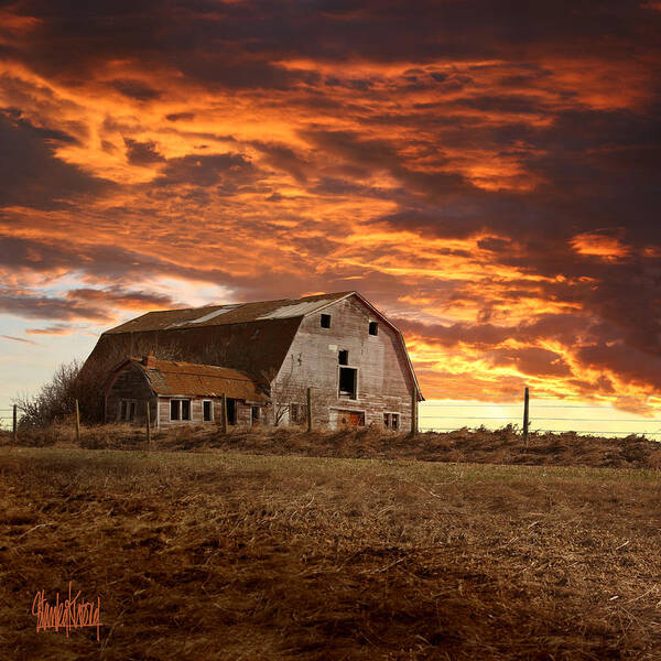 Old Barn Poster featuring the photograph Barn on Highway 21 by Stan Kwong