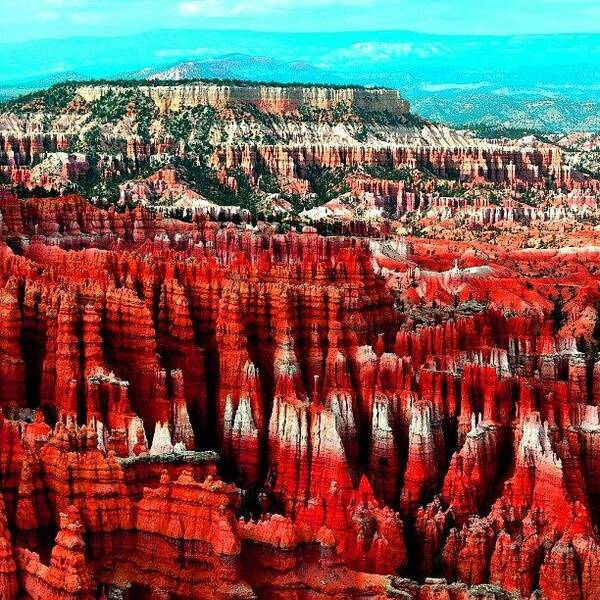 Bryce Canyon Poster featuring the photograph Canyon #1 by Ernesto Cinquepalmi