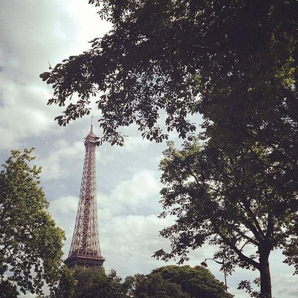 Eiffel Tower Poster featuring the photograph Eiffel Tower #1 by Eve Godat
