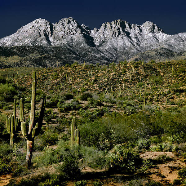 Mountains Poster featuring the photograph Four Peaks by Jim Painter