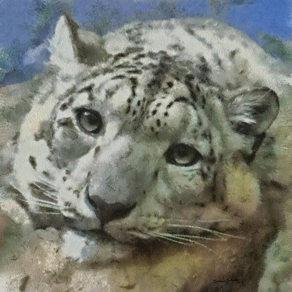 Animals Poster featuring the digital art Snow Leopard Painterly #1 by Ernest Echols
