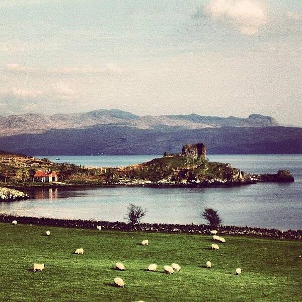 Scenery Poster featuring the photograph Scotland #3 by Luisa Azzolini