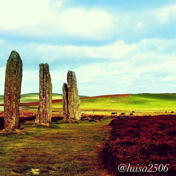 Scenery Poster featuring the photograph Ring Of Brodgar #6 by Luisa Azzolini