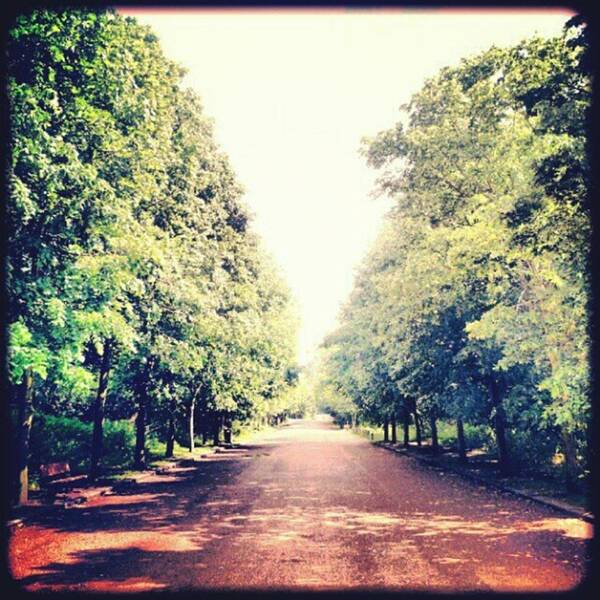 Instalondon Poster featuring the photograph #alexandrapalace #alexandrapark #park by Neil Menday