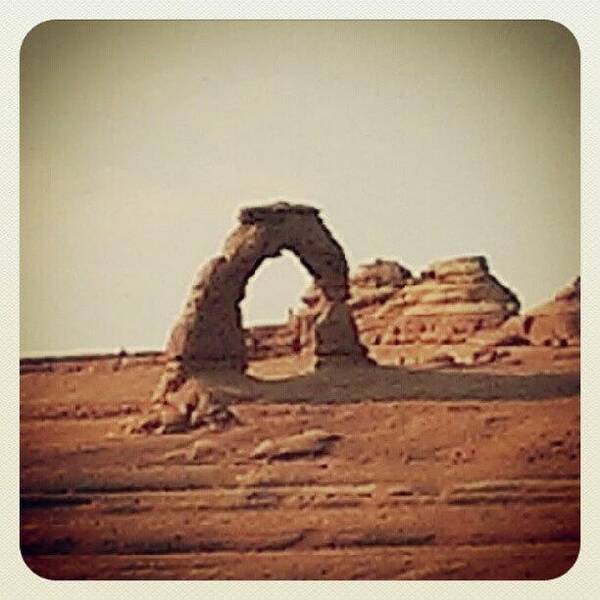  Poster featuring the photograph Arches National Park - Delicate Arch by David Forbes