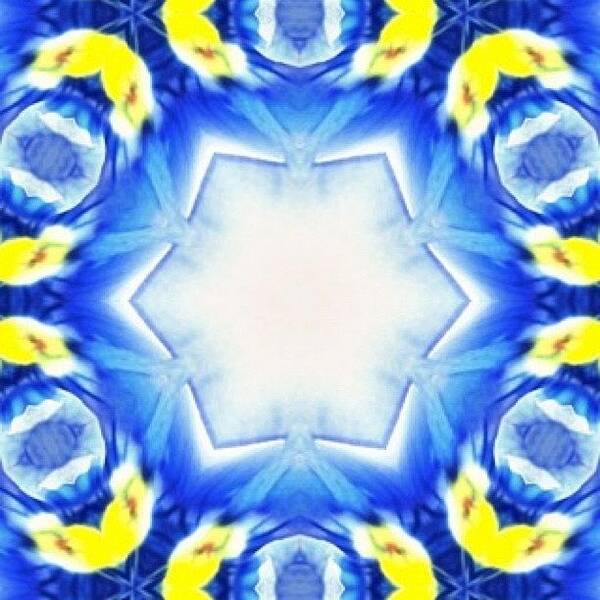 Colorporn Poster featuring the photograph #blue And #yellow #fractalart #pattern by Pixie Copley