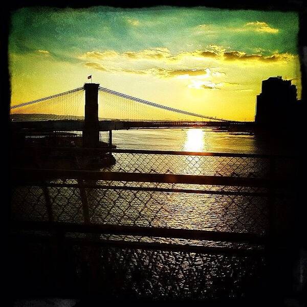 Navema Poster featuring the photograph Brooklyn Bridge At Dusk by Natasha Marco