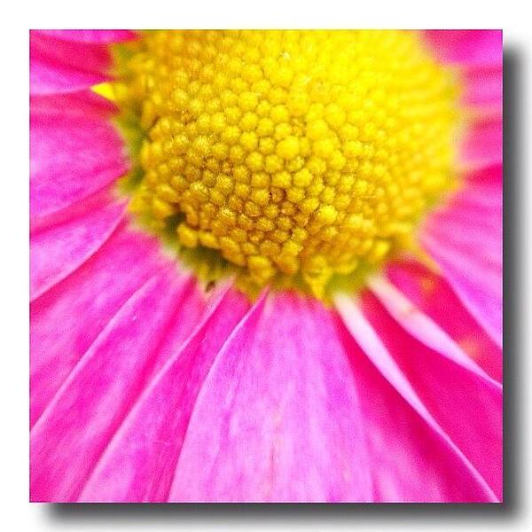 Midwest_nsw Poster featuring the photograph Cafe On Louèe, Close Up #macro by Gary David