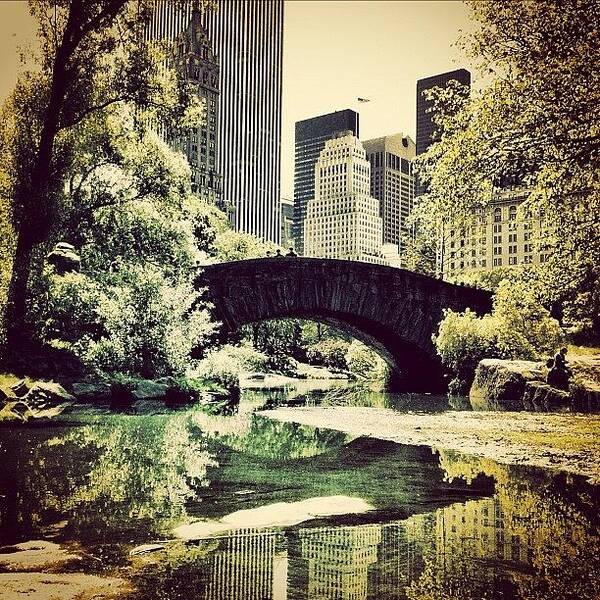 Bridge Poster featuring the photograph Central Park Bridge. #centralpark #nyc by Luke Kingma