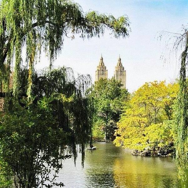 Central Park Poster featuring the photograph Central Park by Laura Douglas