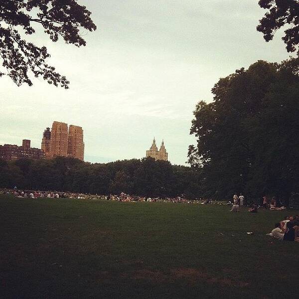 Summer Poster featuring the photograph #central #park #picnic #area #new #york by Alex Mamutin