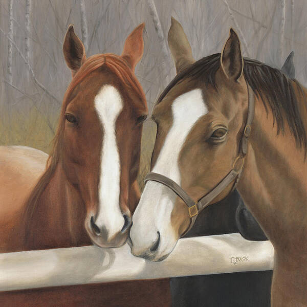 Horses Showing Affection Over The Fence Poster featuring the painting Courtship by Tammy Taylor