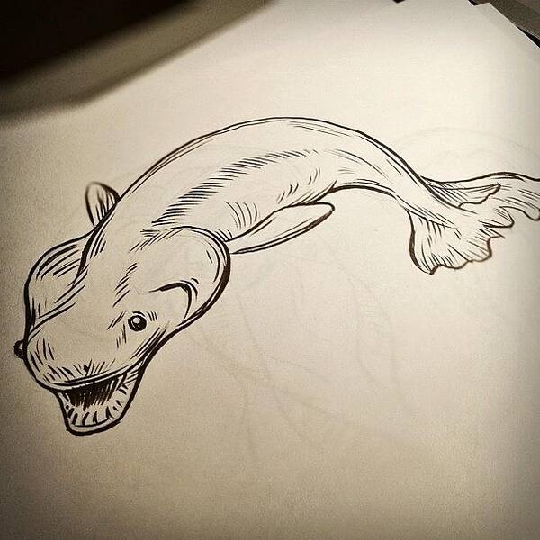 Deepsea Poster featuring the photograph #deepsea #shark # Drawing by Jeff Reinhardt