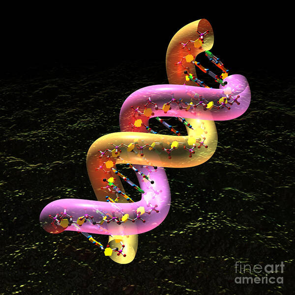 Acid Poster featuring the digital art DNA fat coil by Russell Kightley