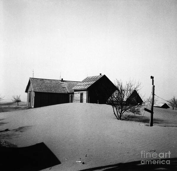 Dust Bowl Poster featuring the photograph Dust Bowl Farm by Photo Researchers