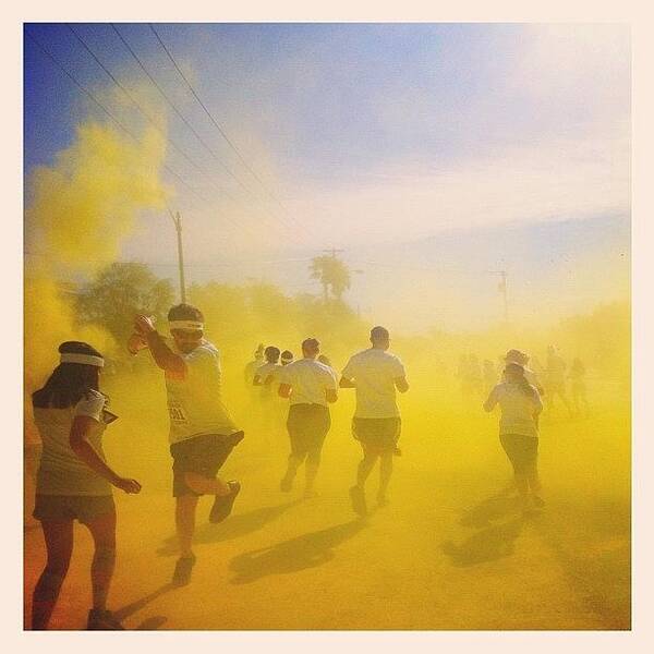 Colorrun Poster featuring the photograph Everything Was All Yellow by Kim Hudson