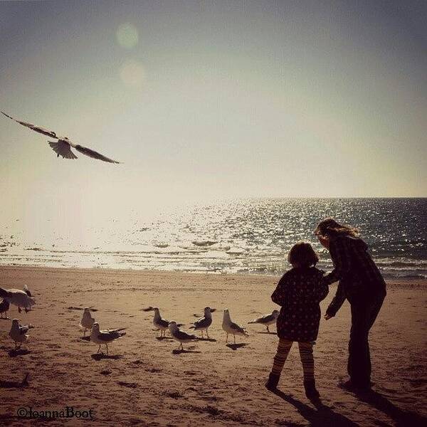 Lake Poster featuring the photograph Feeding Time by Joanna Boot