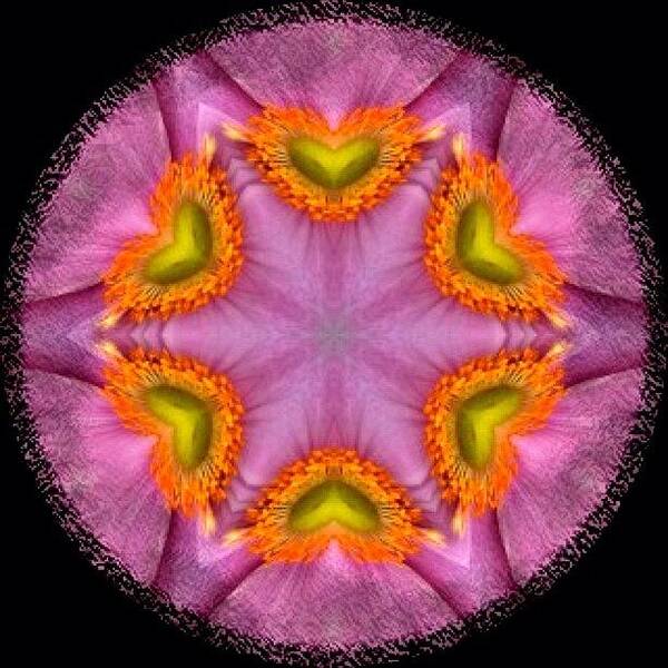 Colorporn Poster featuring the photograph #flower #love #hippie #mandala On by Pixie Copley