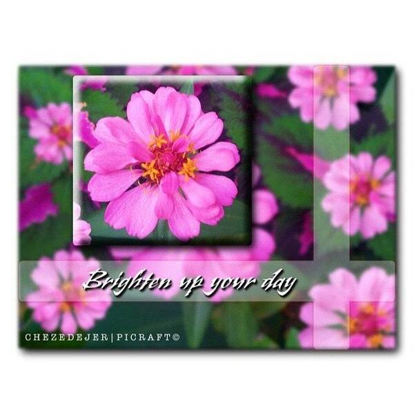 Cute Poster featuring the photograph Follow Me, I Will Follow Back..thanks by Chez Edejer