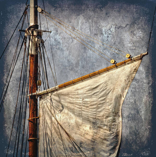 Textured Poster featuring the photograph Foresail by Fred LeBlanc