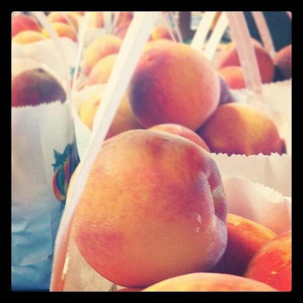  Poster featuring the photograph Fresh Peaches :) by Dana Coplin