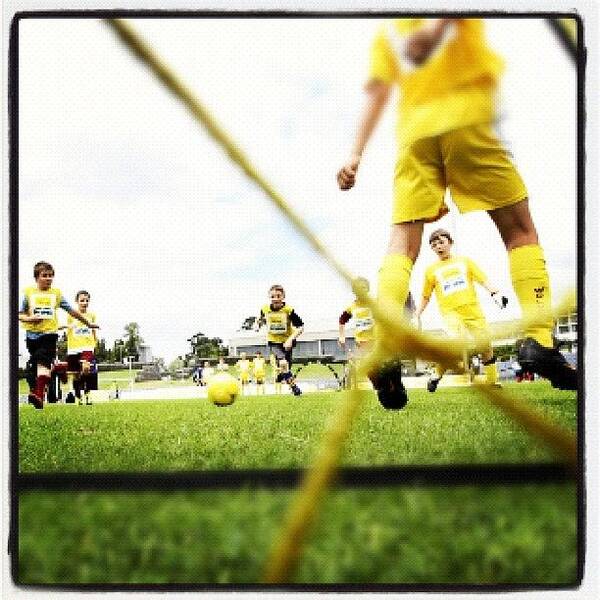 Soccer Poster featuring the photograph Future Socceroos #soccer #football by Luke Fuda