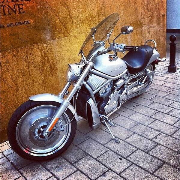  Poster featuring the photograph Harley Davidson In Beograd by Colin Hickson