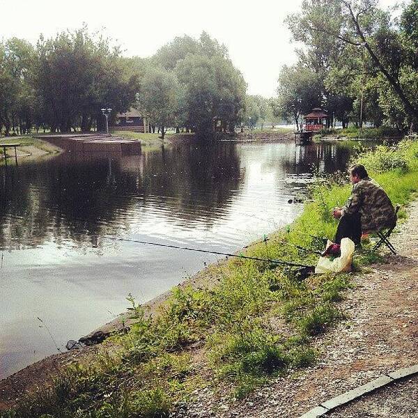  Poster featuring the photograph He's Pro At Fishing. :d by Orange Fox