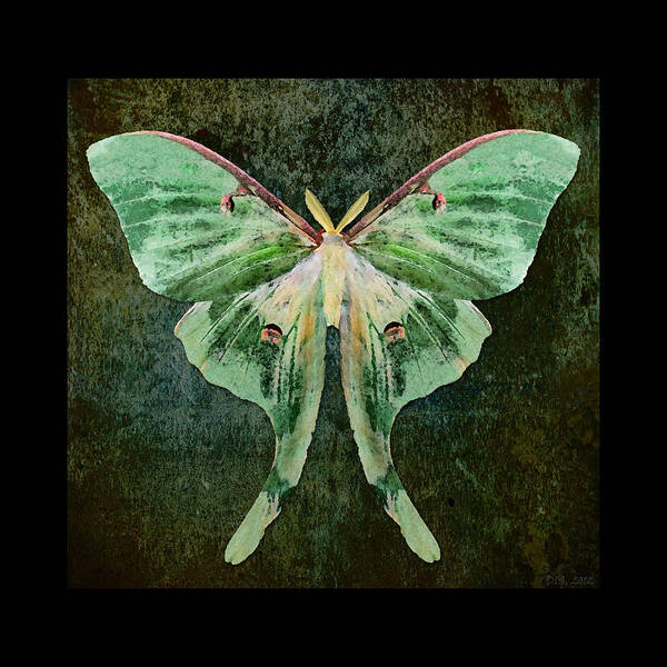 Moth Poster featuring the digital art Luna by Deborah Smith
