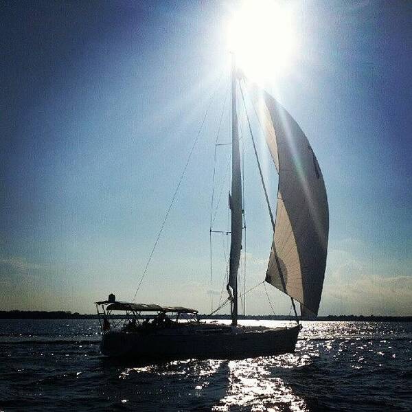  Poster featuring the photograph Mark From Charleston Sailing School Got by Dustin K Ryan