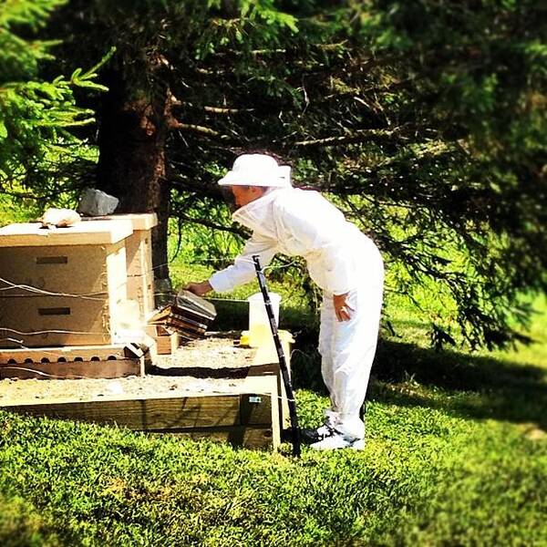 Coolestmomever Poster featuring the photograph My Mom Is A Bee Keeper. #coolestmomever by Missy Lane