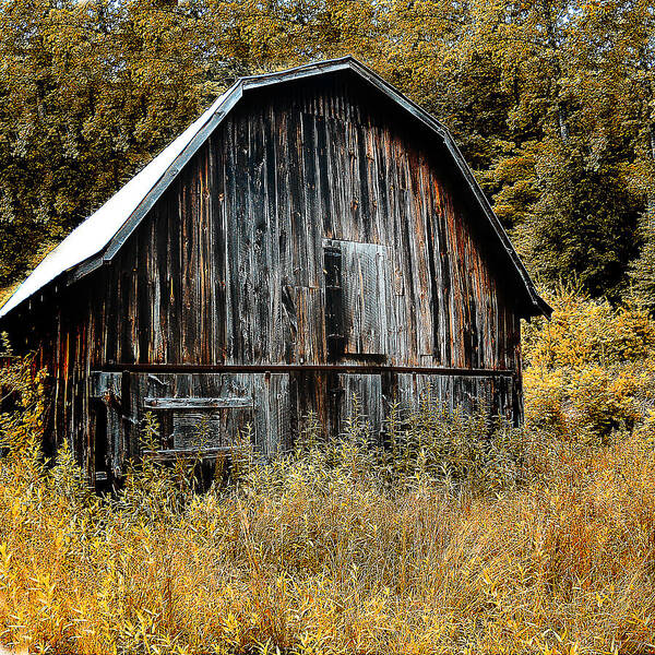 Autumn Poster featuring the photograph Old Barn by Gordon Engebretson