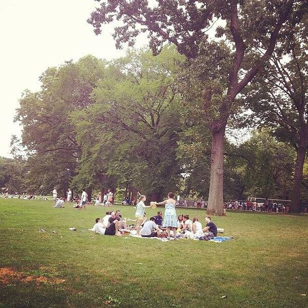 Summer Poster featuring the photograph #picnic #area #central #park #manhattan by Alex Mamutin