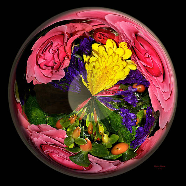 Globe Poster featuring the photograph Pink Rose Globe by Phyllis Denton