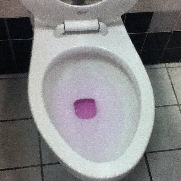  Poster featuring the photograph Pink Toilet Water by Megan Horan