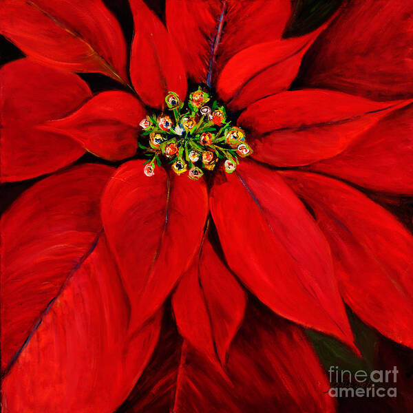 Red Petal Prints Poster featuring the painting Poinsettia by Pati Pelz