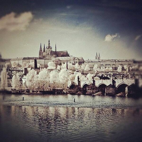 Bridge Poster featuring the photograph Praha by Magda Nowacka