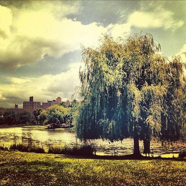 Summer Poster featuring the photograph Relaxation In Central Park. #newyork by Luke Kingma