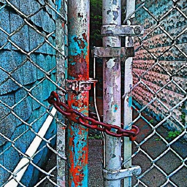 Igpittsburgh Poster featuring the photograph Rusty Fence And Chain by Elisa Franzetta