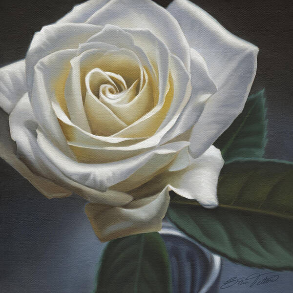 Rose Poster featuring the painting Single White Rose by Steven Tetlow