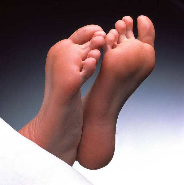 Soles Of Feet Poster by Phil Jude - Fine Art America