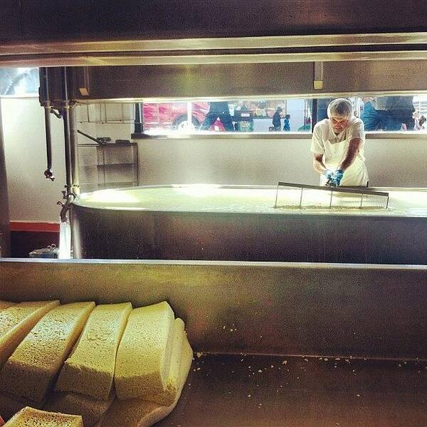 Cheese Poster featuring the photograph Stirring The Curds & Whey by Shana Ray