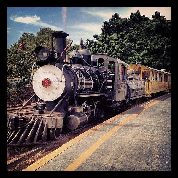 Locomotive Poster featuring the photograph Sugar Cane Train by Darice Machel McGuire