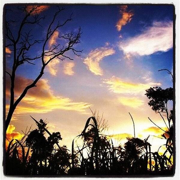 Beautiful Poster featuring the photograph Sunset Nonthaburi #igers #webstagram by Rocky Boat