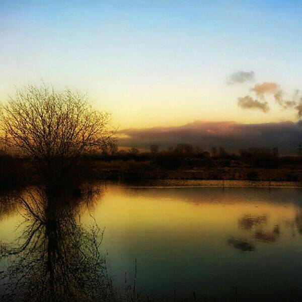 Laake Poster featuring the photograph Sunset Over The Lake by Abbie Shores