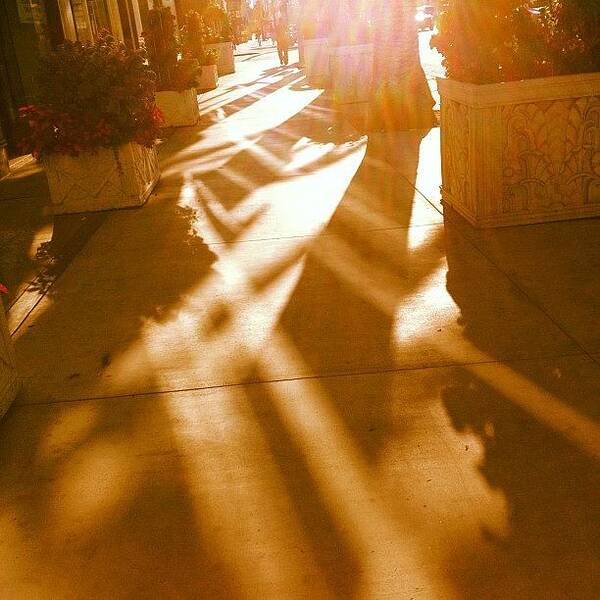  Poster featuring the photograph Sunset Sidewalk Shadows by Debi Del Grande