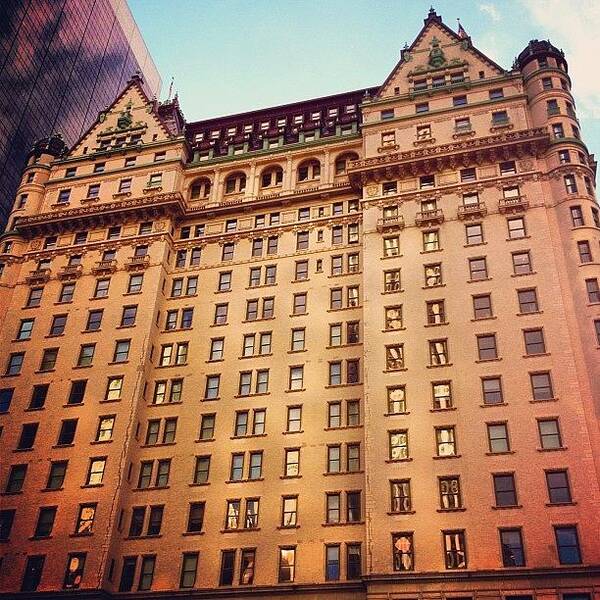 Igersnyc Poster featuring the photograph The Plaza Hotel by Trey Rucker